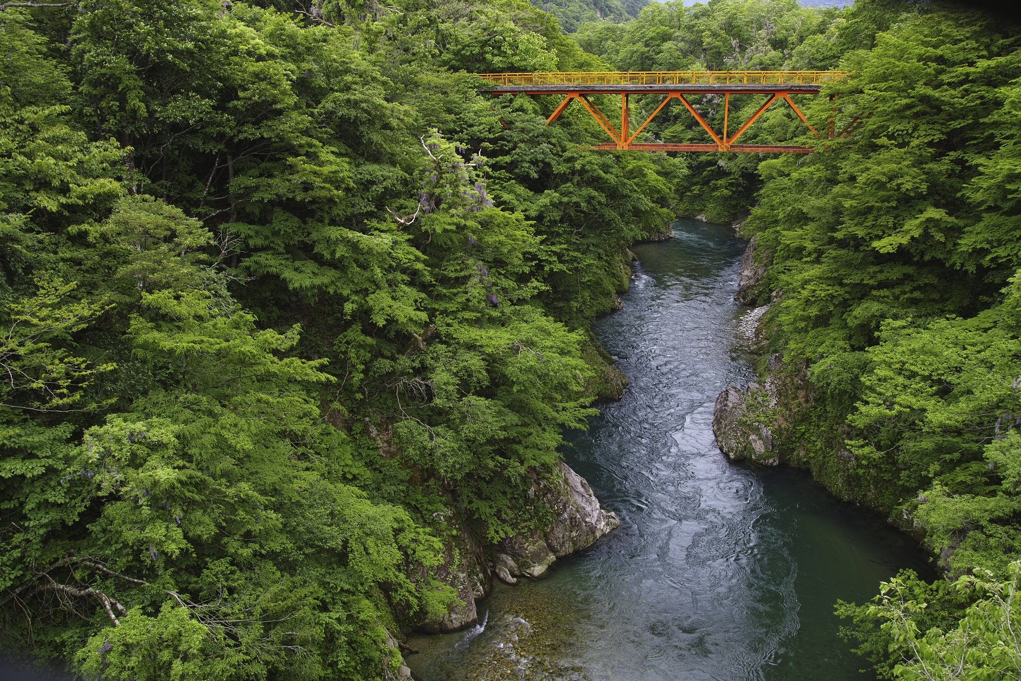 玉川渓流