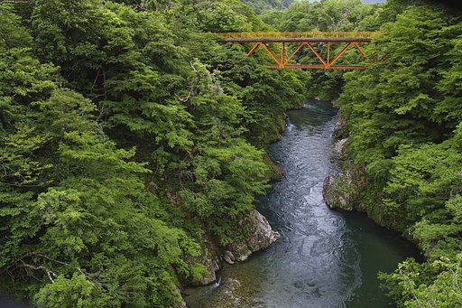 玉川渓流