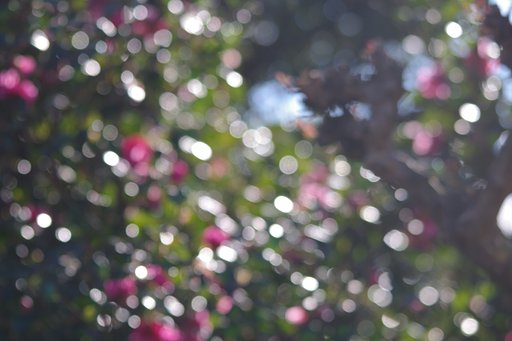 【光あれ】 燦々