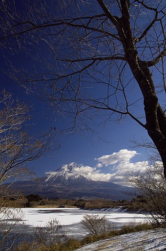 もう少し雪がほしかったですね