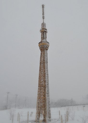 雪中の竹スカイツリー