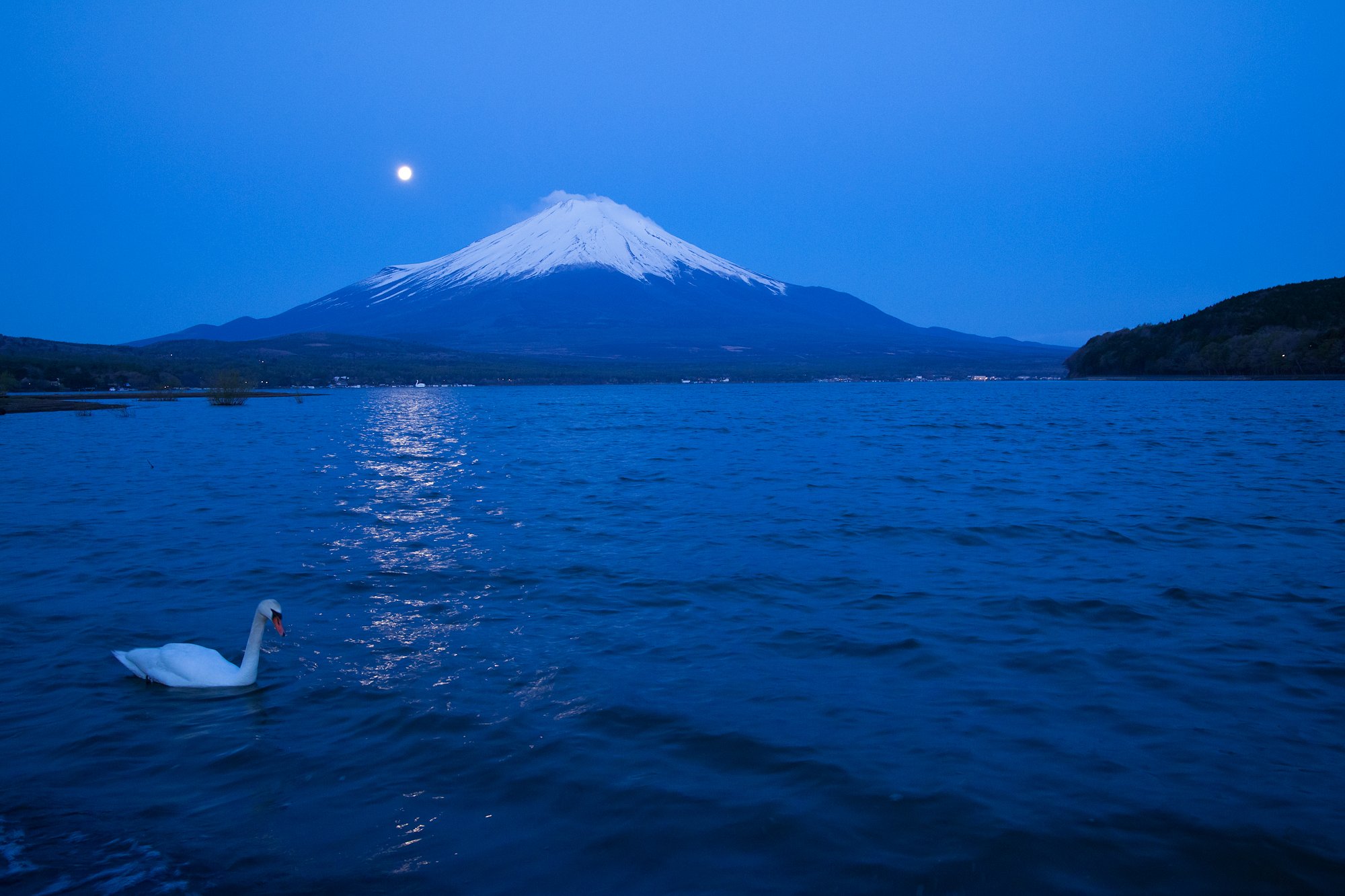 月の明かりに誘われて