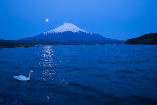 月の明かりに誘われて
