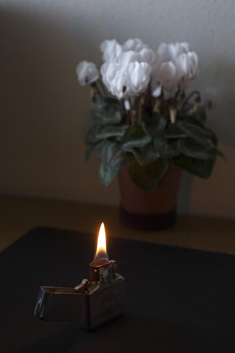 我青春の１頁　Ⅱ’