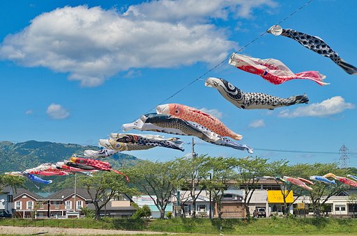 垂井のこいのぼり