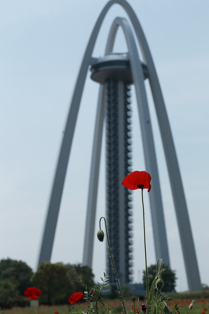 背比べ