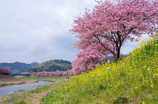 さぁ、歩こうか