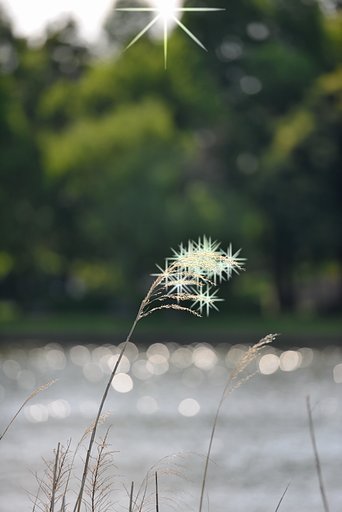 キラキラ