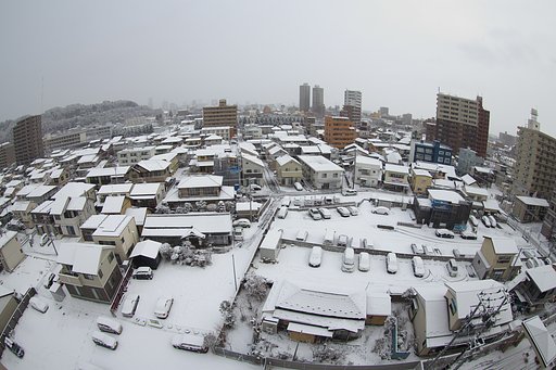 一面の雪景色