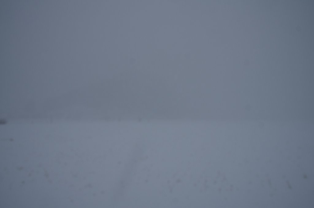 激しい吹雪!