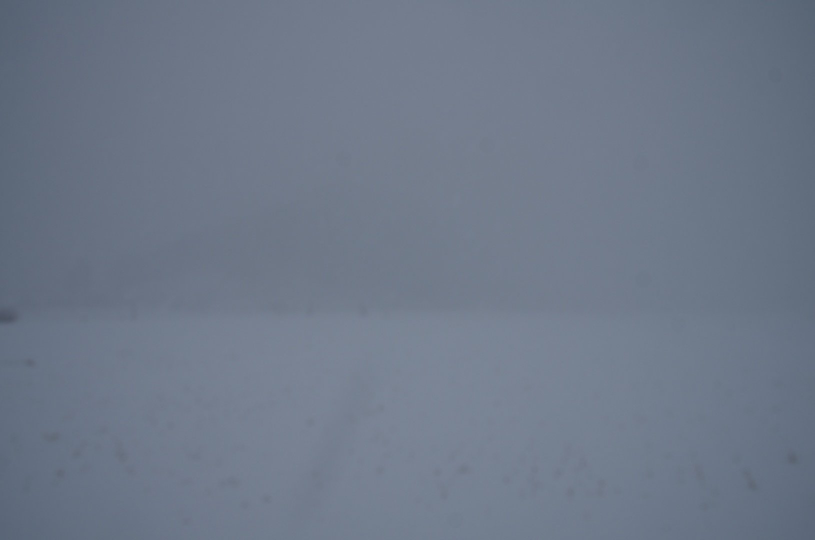 激しい吹雪!