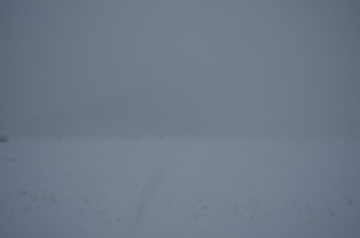 激しい吹雪!