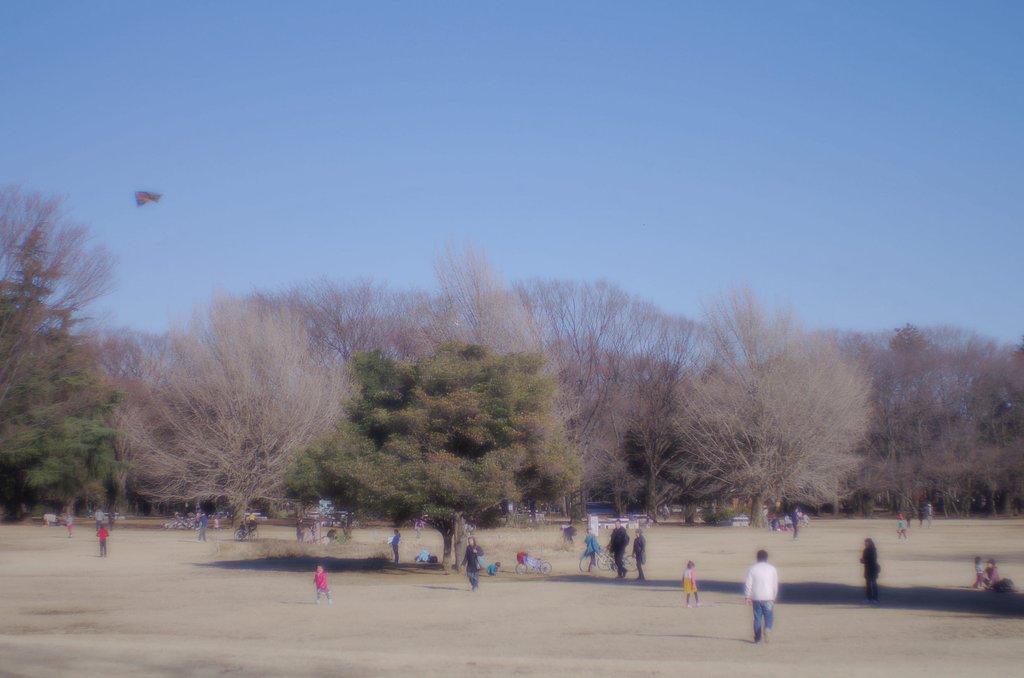 陽だまりで、あくび