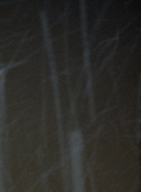 雪の軌跡