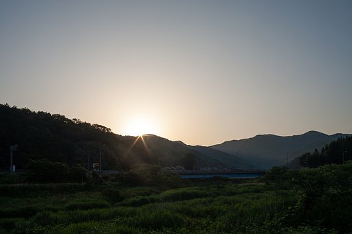 今日も良いお天気・・。