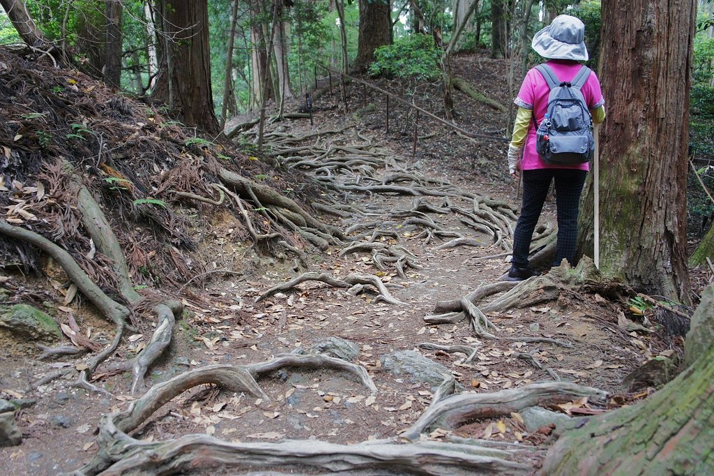 鞍馬へ