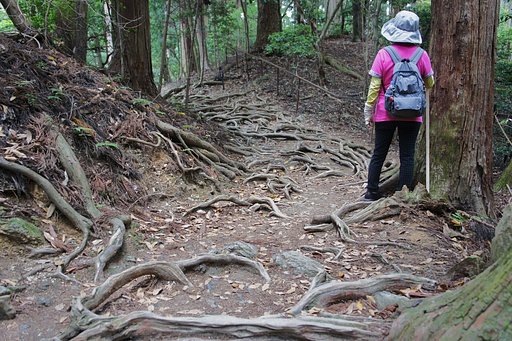 鞍馬へ