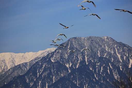 有明山へ
