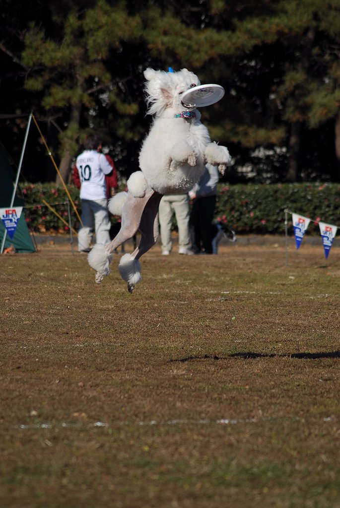 Catch!