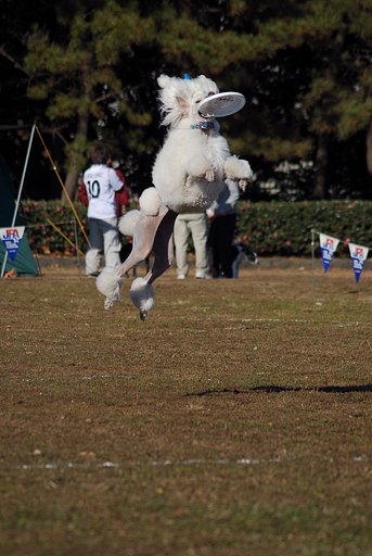 Catch!