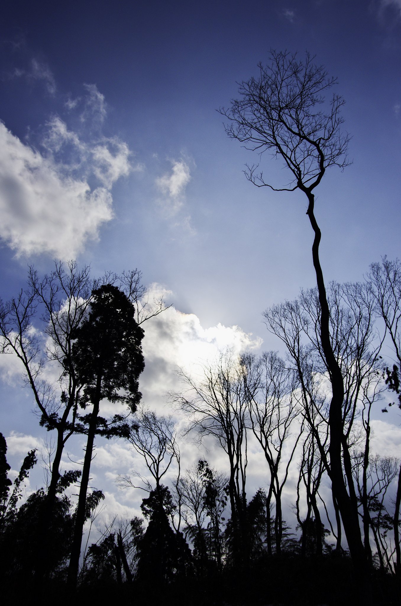 空に向かって