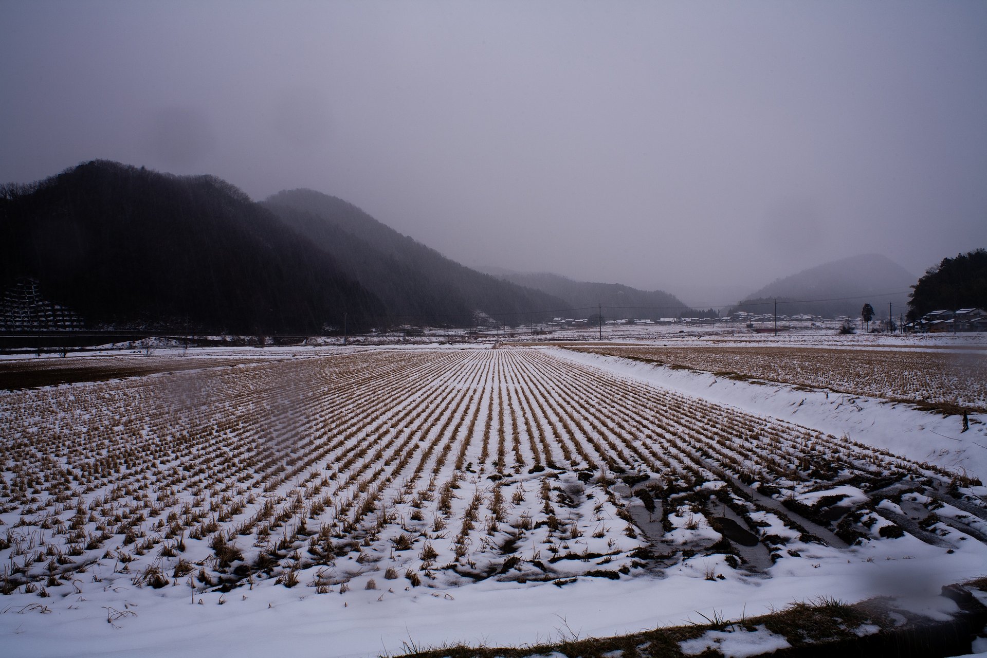 今日も雪が降っています・・。