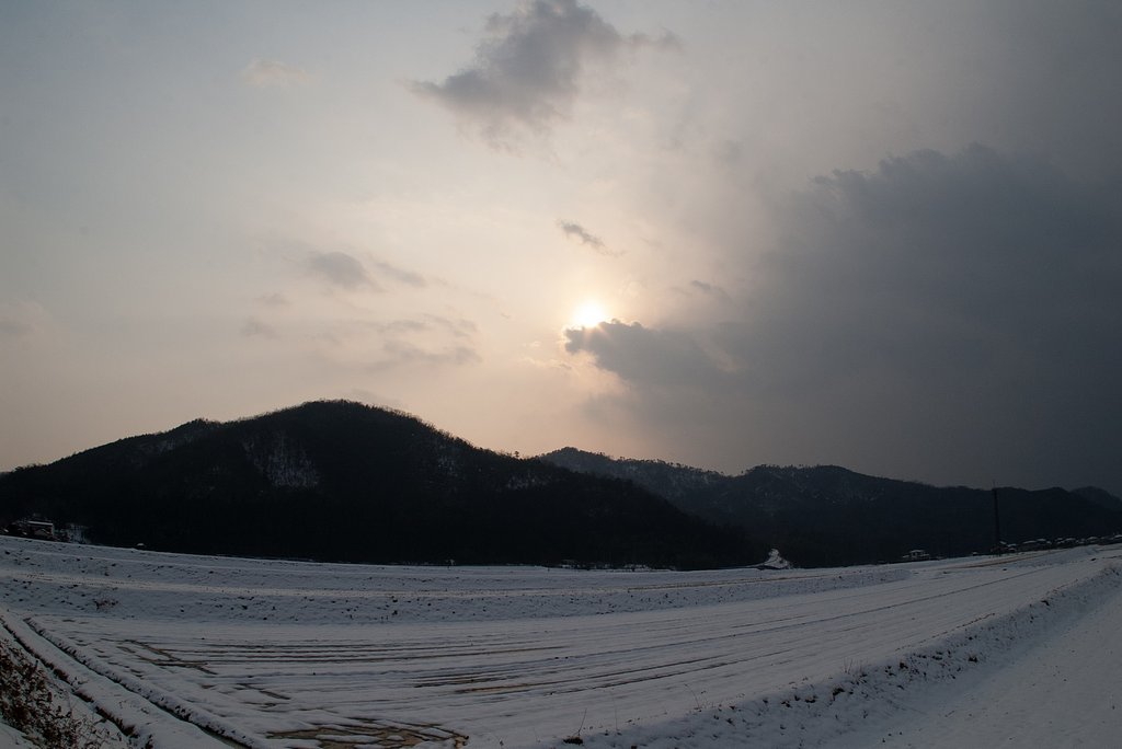降り続いた雪は止みました・・。