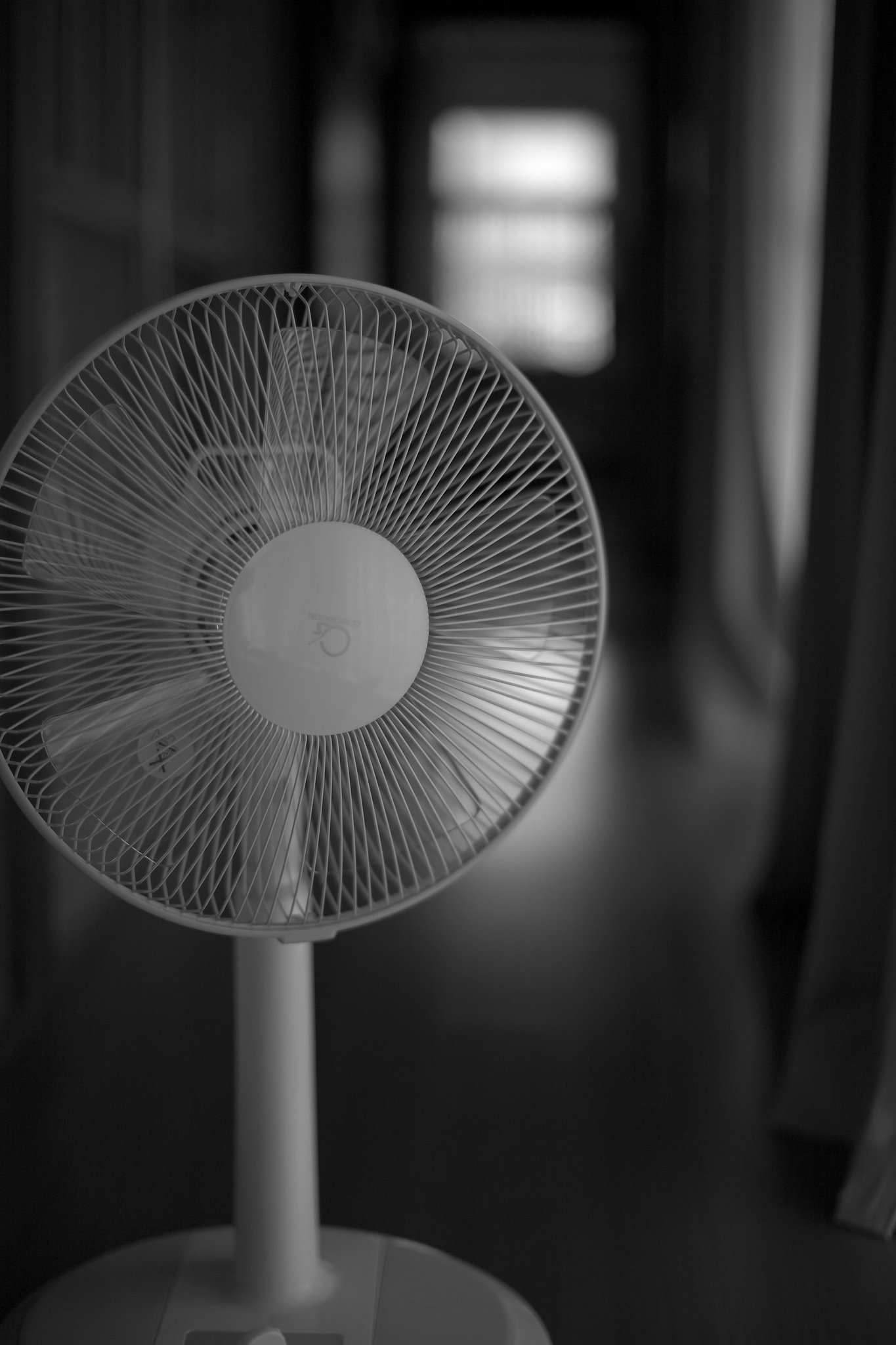 夏への序章