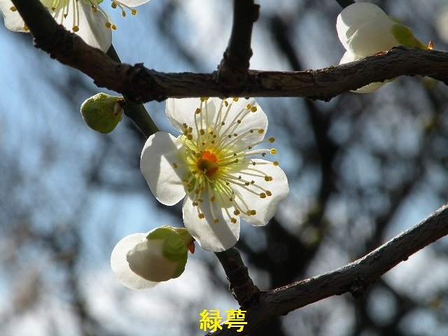 逆光