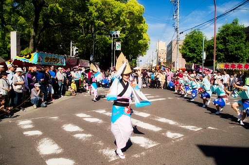 【五月】阿波踊り　太閤連