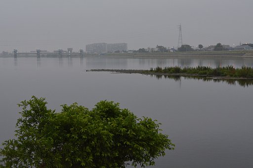 小雨に煙る