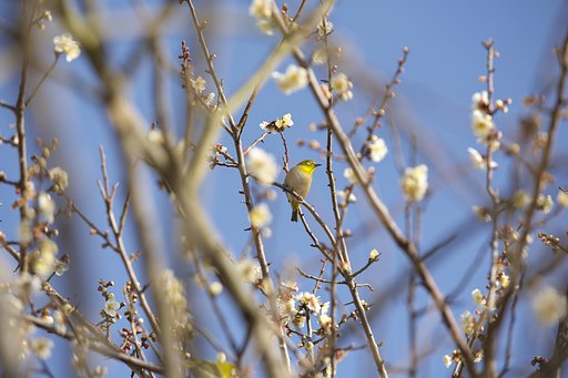 2時間まって・・