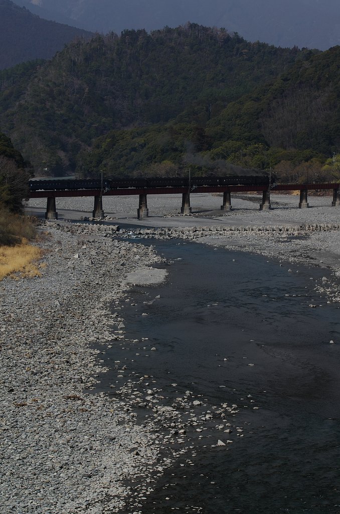 大井川快走（リバーサル）」