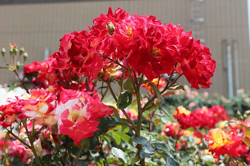 公園にて