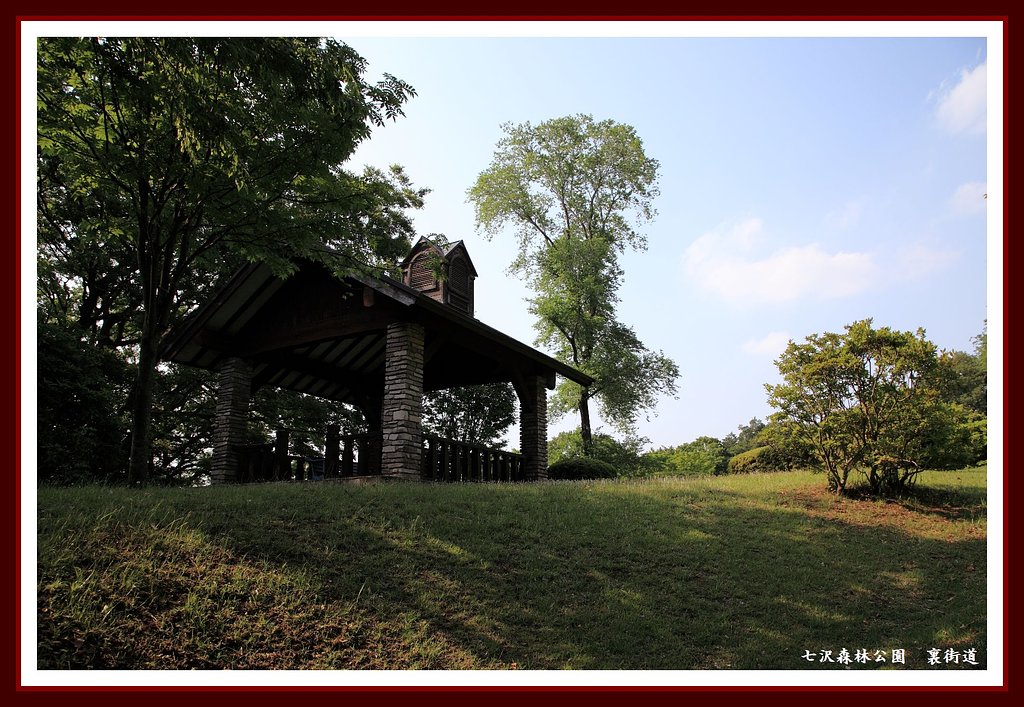 七沢森林公園