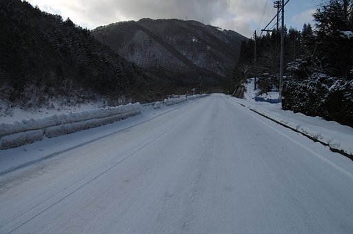 白い道