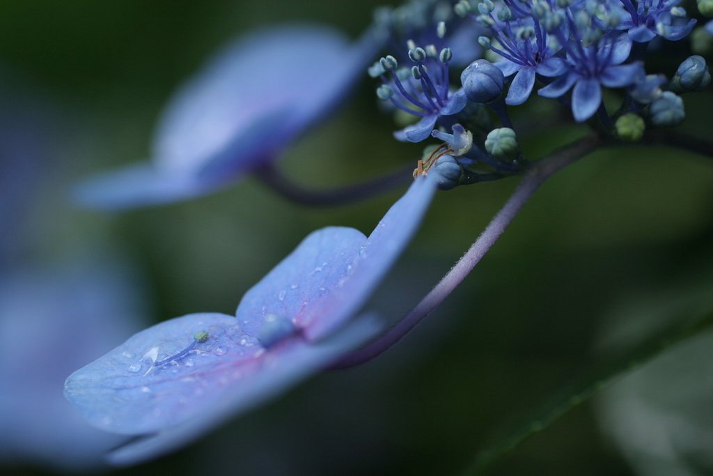 雨ですね～
