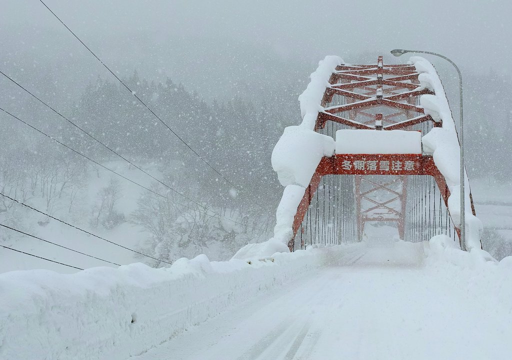 落雪注意