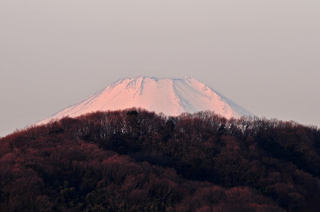 朝富士