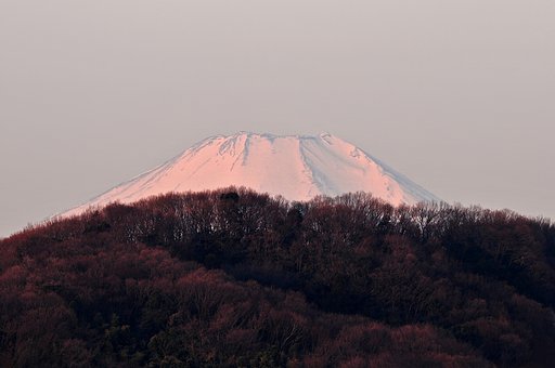 朝富士