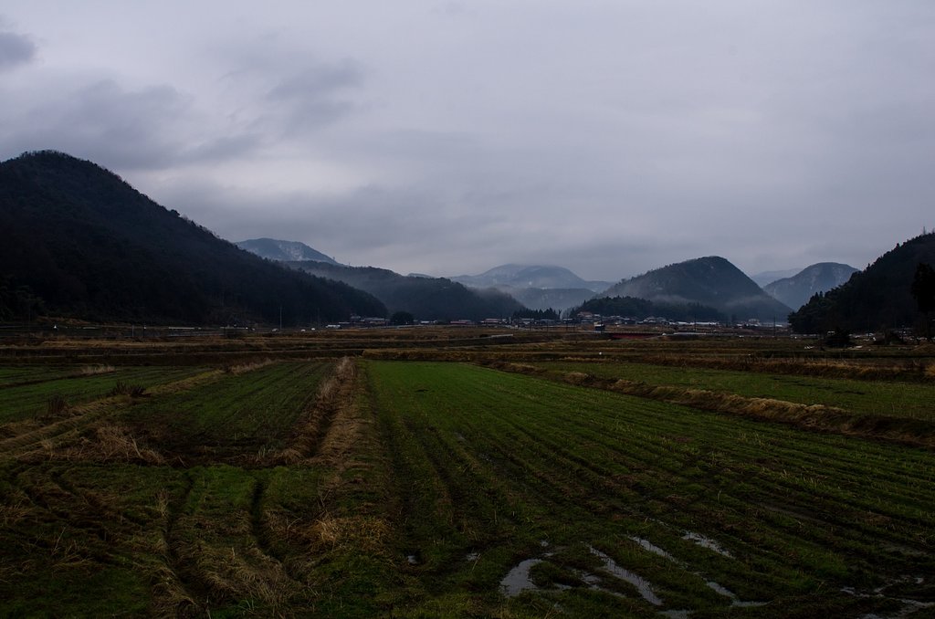 暗い曇り空の朝。