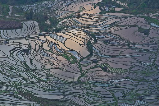 元陽・最大の棚田・・・・孟品