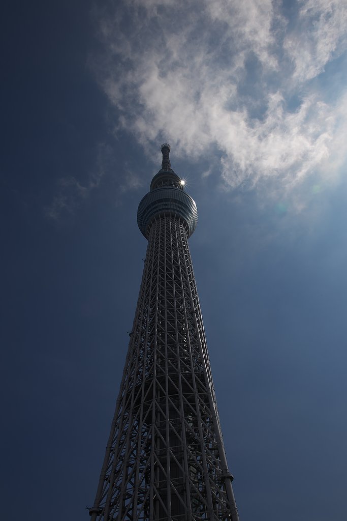 スカイツリーの光芒