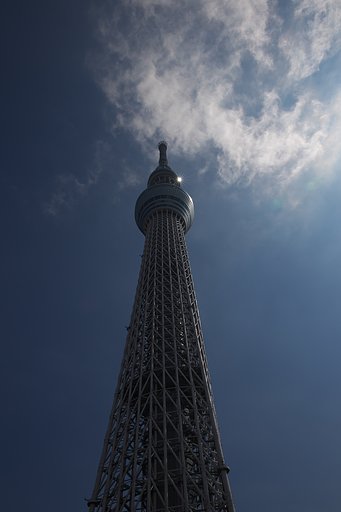 スカイツリーの光芒