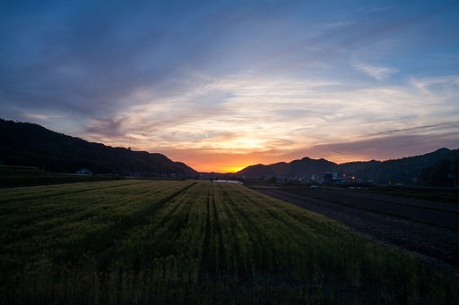 美しい模様の夕焼け。