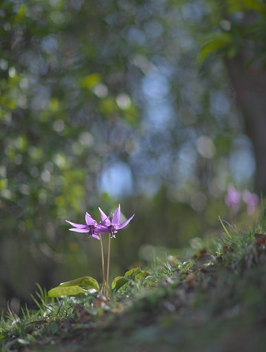 寄り添う