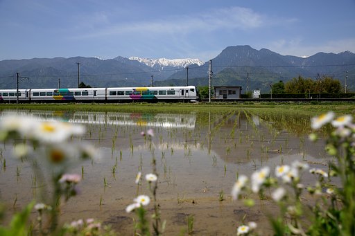 特急と田園風景