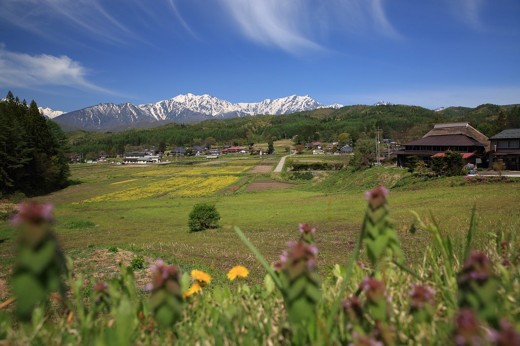 おどり見ゆ鹿島の空や春のゆく