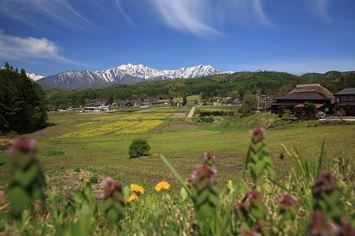 おどり見ゆ鹿島の空や春のゆく
