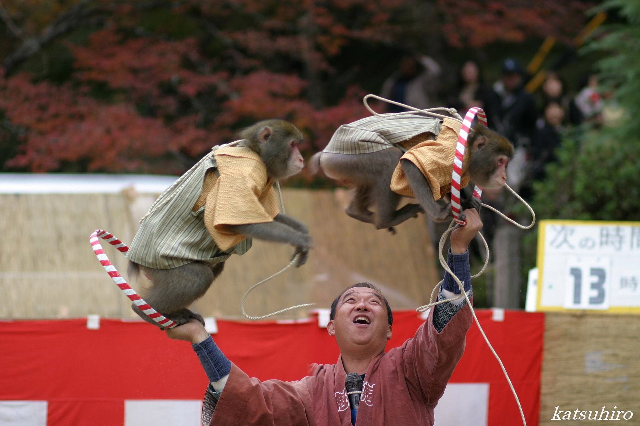 あそんでみました
